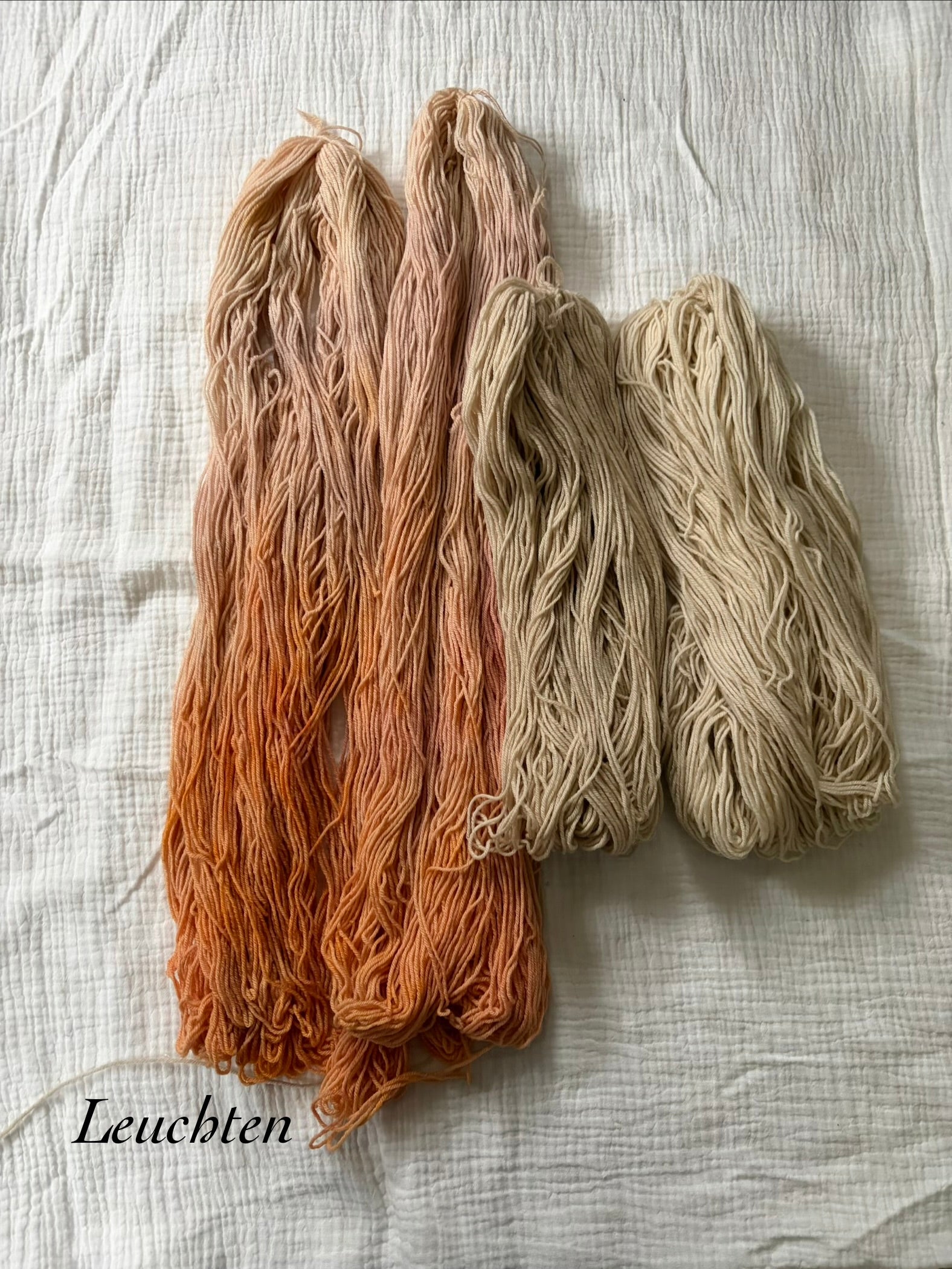 Leuchten - 100% Merino